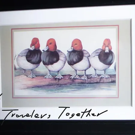 4 Travelers Together 公寓 *